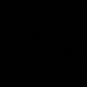 Meet your Posher, Hunter